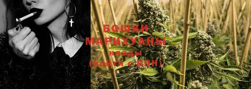 закладки  Камешково  сайты даркнета телеграм  Шишки марихуана THC 21% 